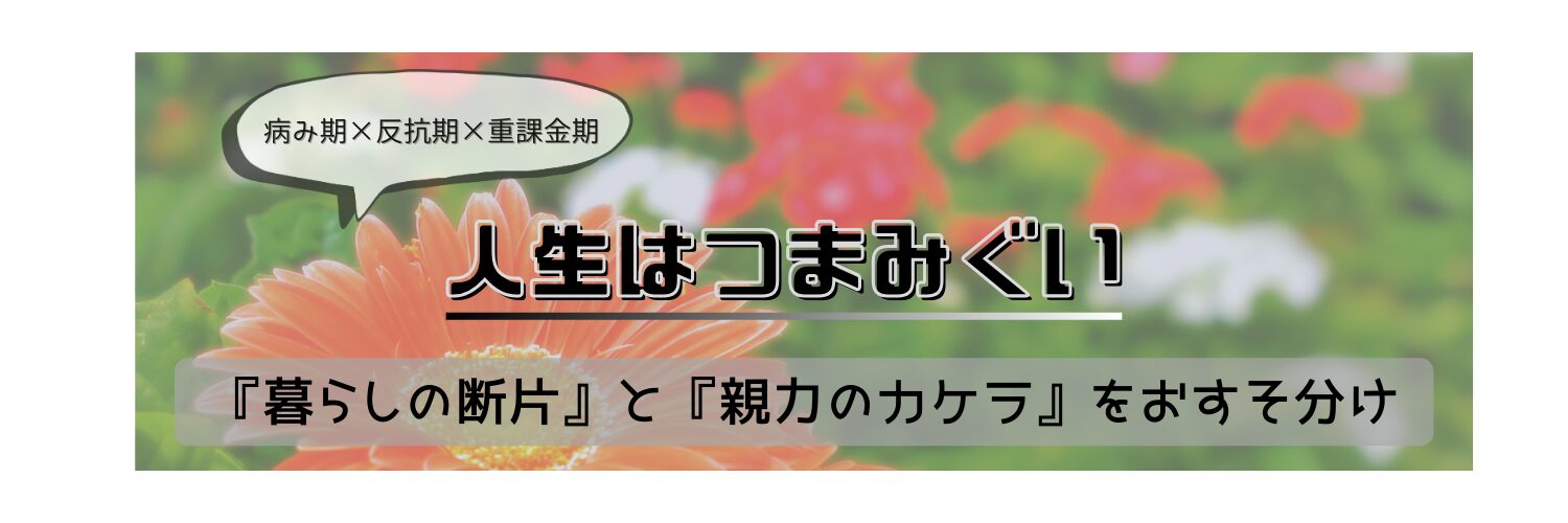 人生はつまみぐい